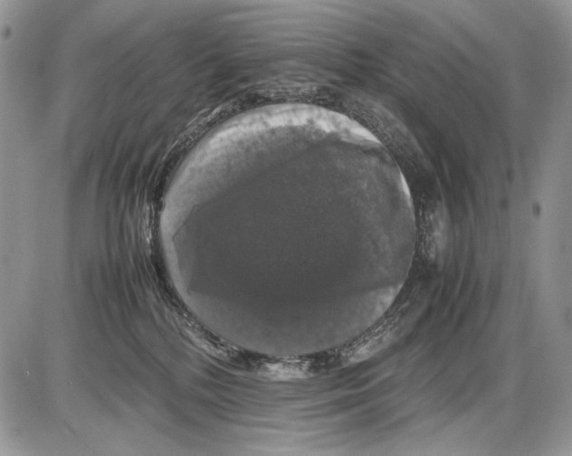 X0000086080232200704202159