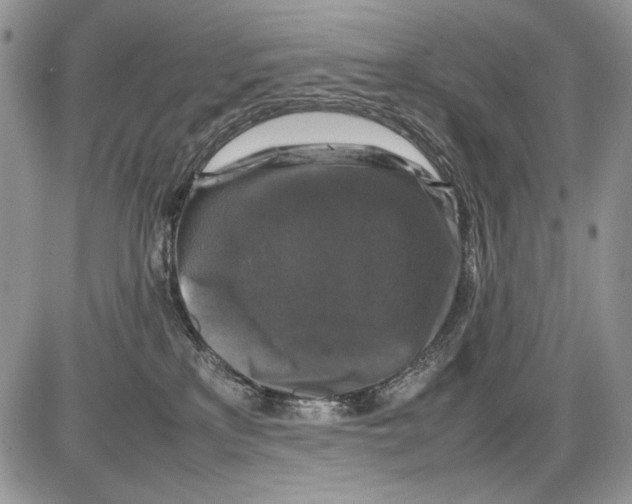 X0000086080233200704202159