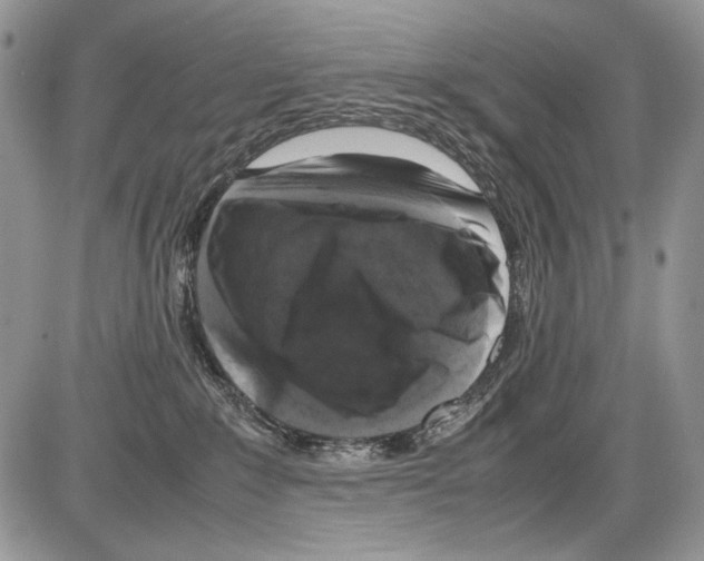 X0000086080235200704202159