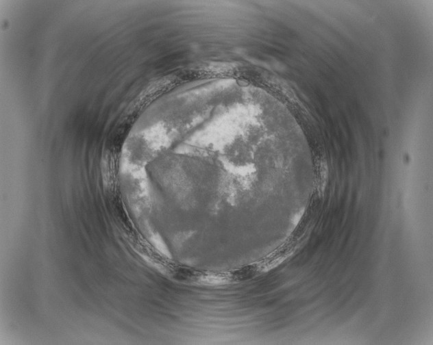 X0000086080236200704202159