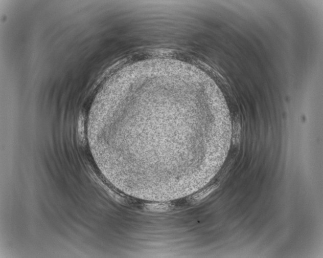 X0000086080238200704202159