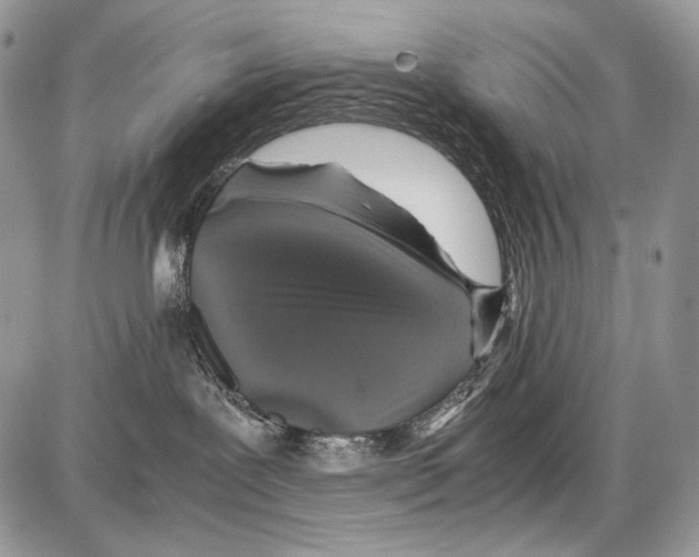 X0000086080239200704202159