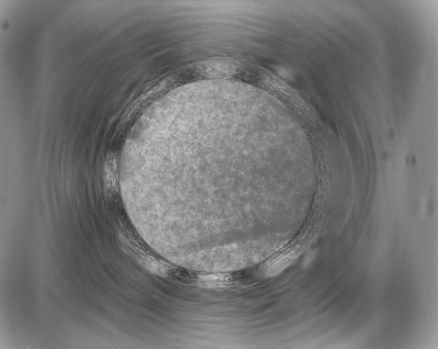 X0000086080240200704202159