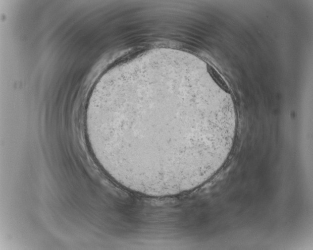 X0000086080241200704202158