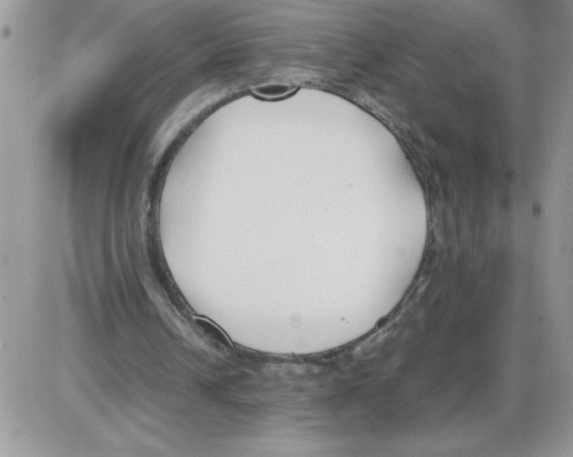 X0000086080242200704202158