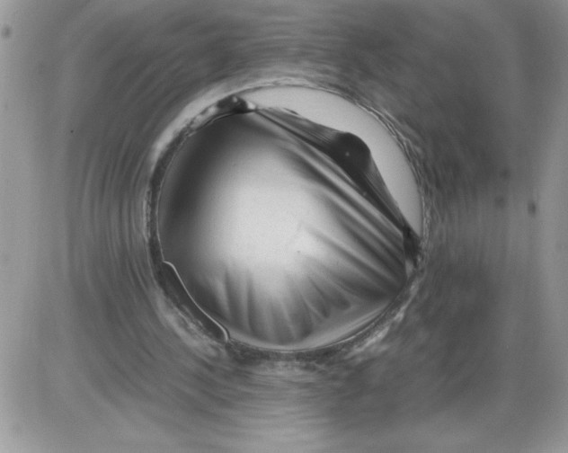 X0000086080244200704202158