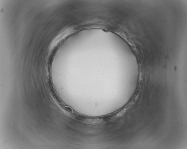 X0000086080245200704202158