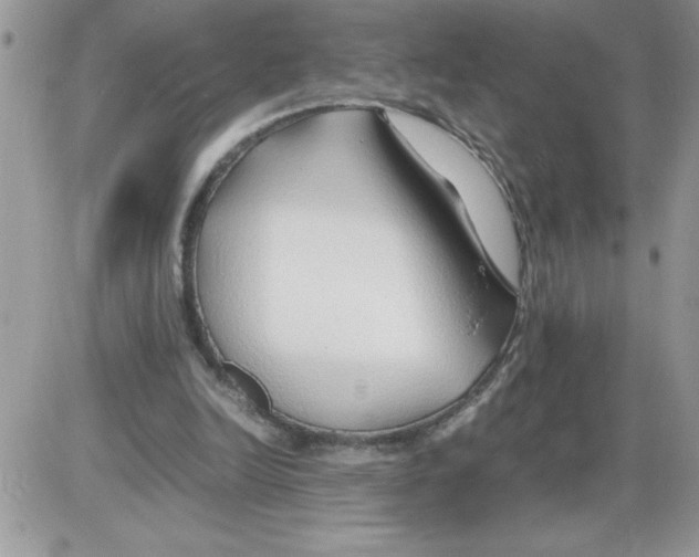 X0000086080246200704202158