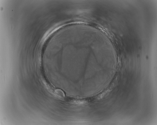 X0000086080247200704202158