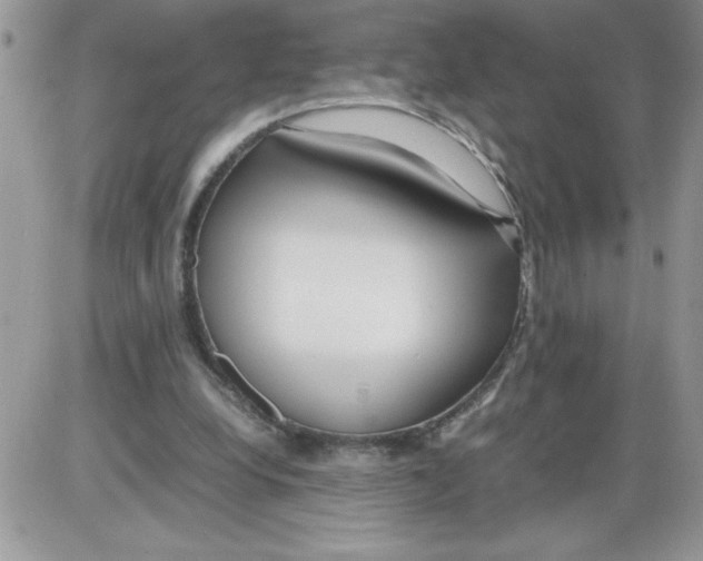 X0000086080248200704202158