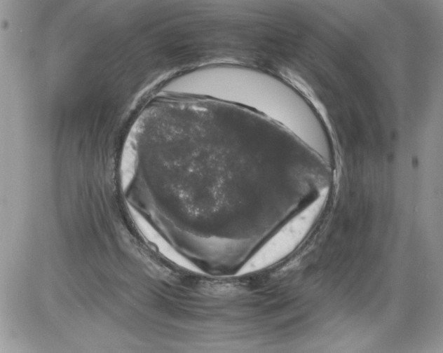 X0000086080249200704202158