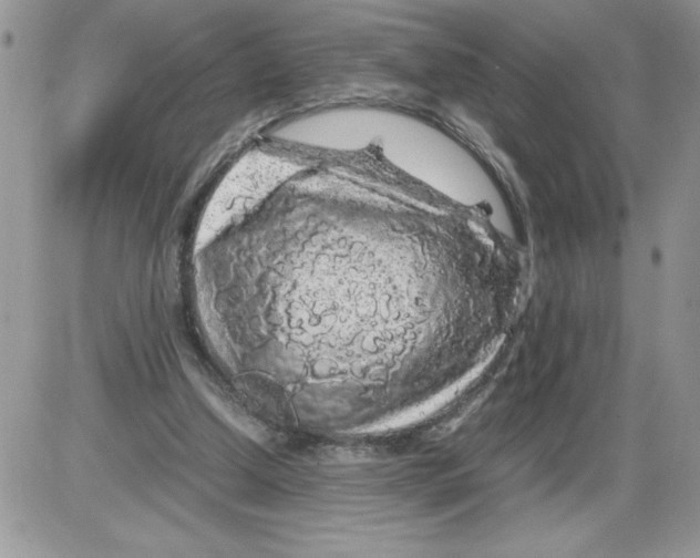 X0000086080250200704202158