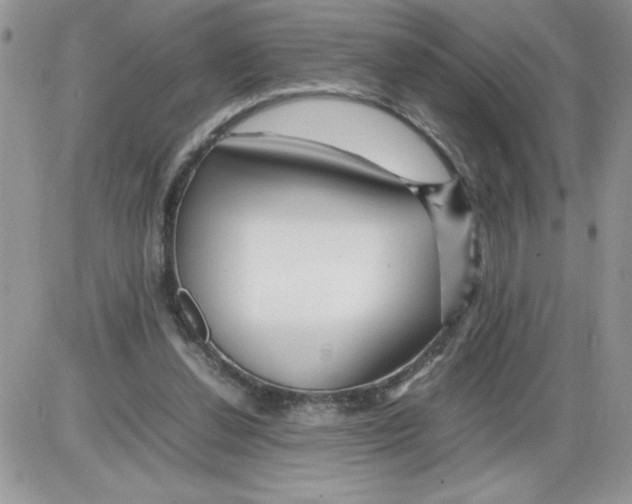 X0000086080252200704202158