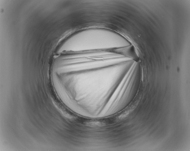 X0000086080253200704202158