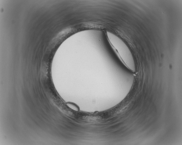 X0000086080255200704202158