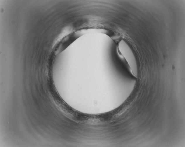 X0000086080256200704202158