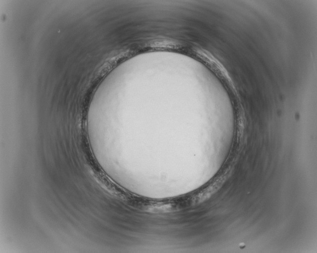 X0000086080257200704202158