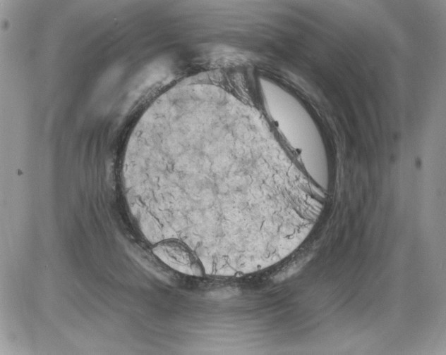 X0000086080258200704202158