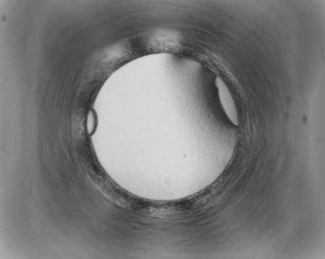 X0000086080259200704202158