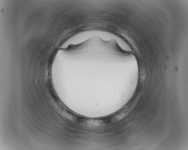 X0000086080261200704202158