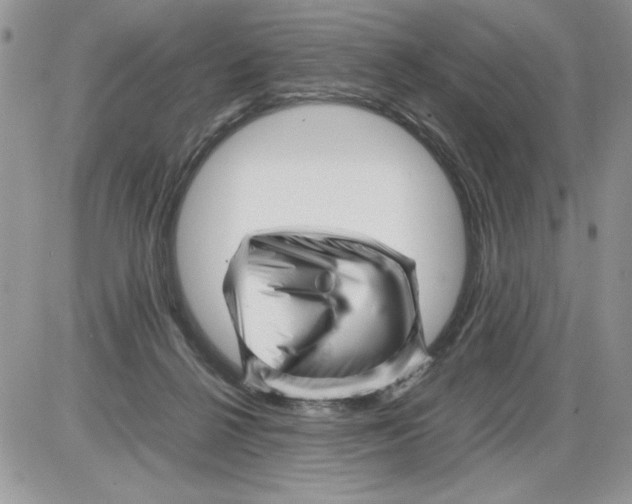 X0000086080264200704202158