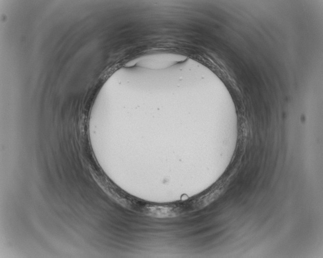 X0000086080265200704202158