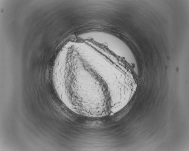 X0000086080266200704202158