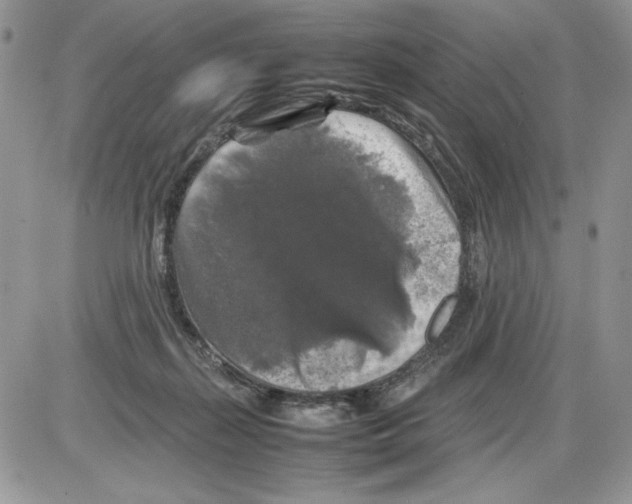 X0000086080267200704202158