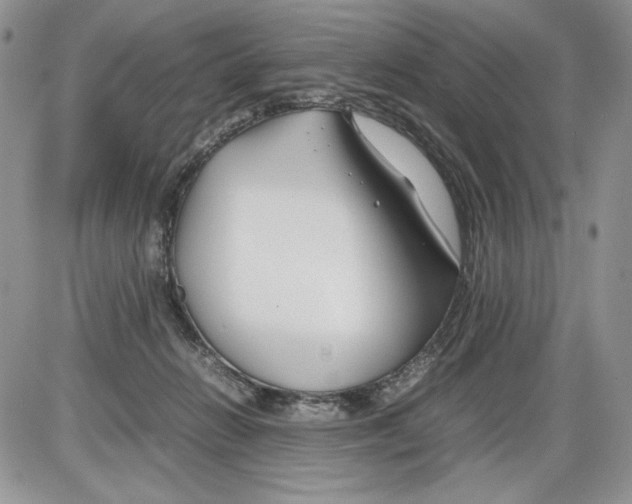 X0000086080270200704202158