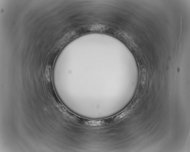 X0000086080273200704202158