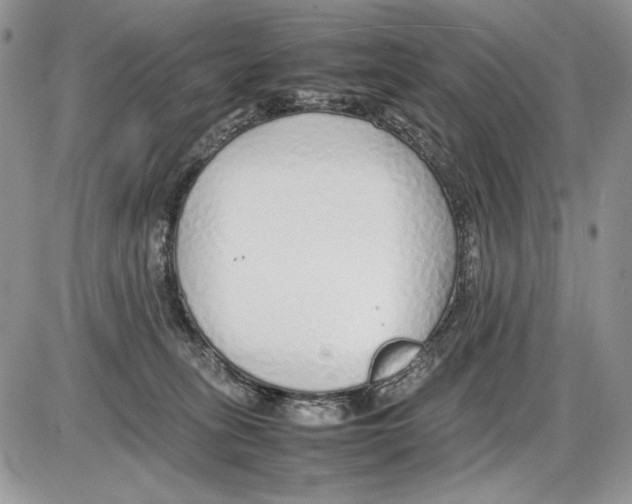 X0000086080275200704202158