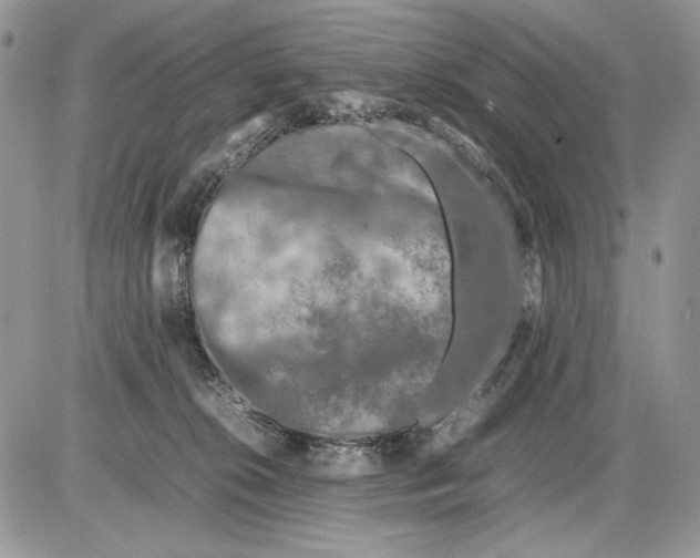 X0000086080276200704202158