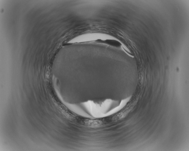 X0000086080277200704202159