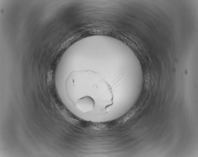 X0000086080278200704202159