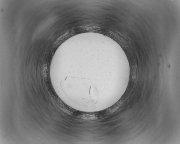 X0000086080279200704202159