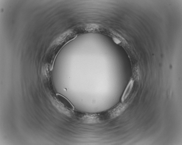 X0000086080280200704202159