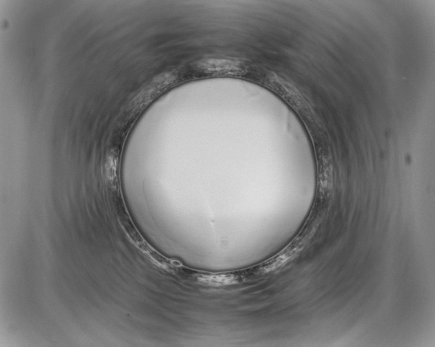 X0000086080281200704202159