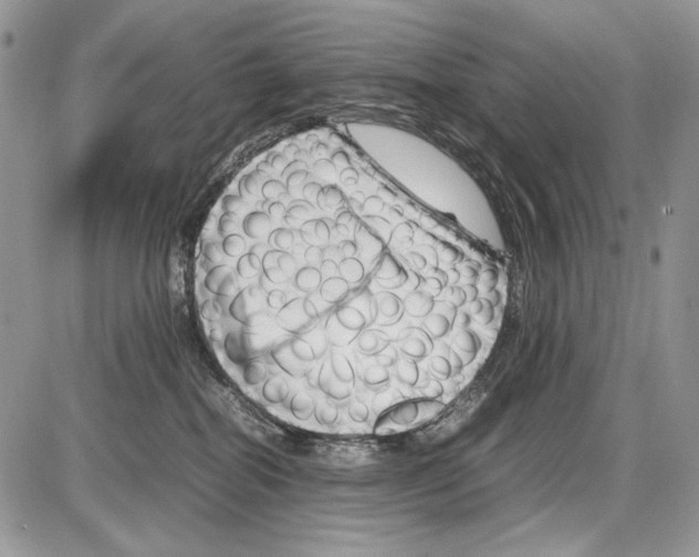 X0000086080282200704202159