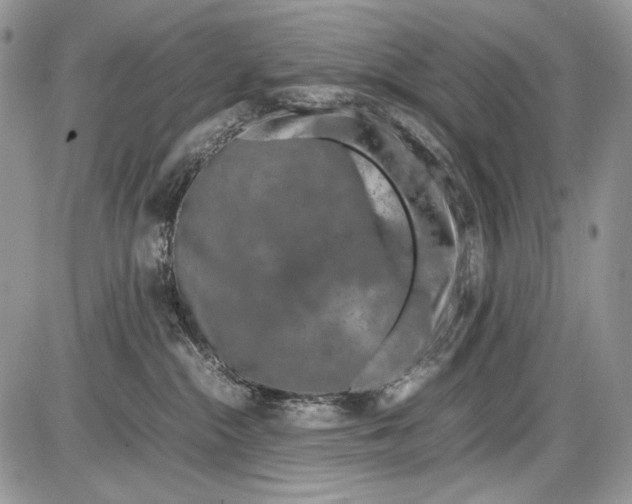 X0000086080284200704202159