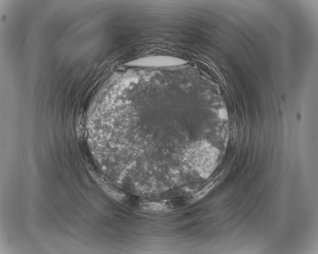 X0000086080285200704202159