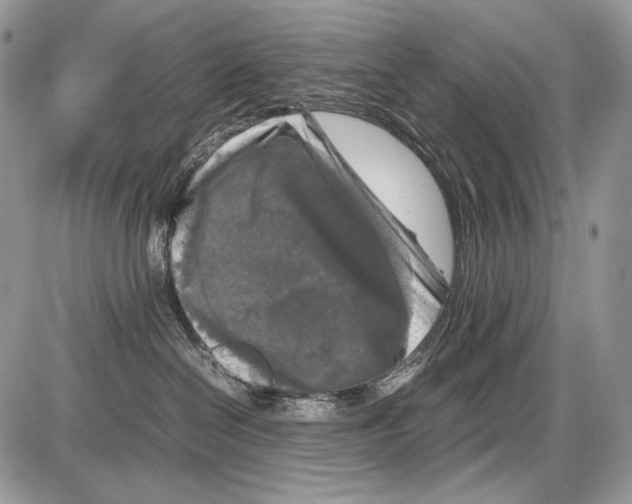 X0000086080286200704202159