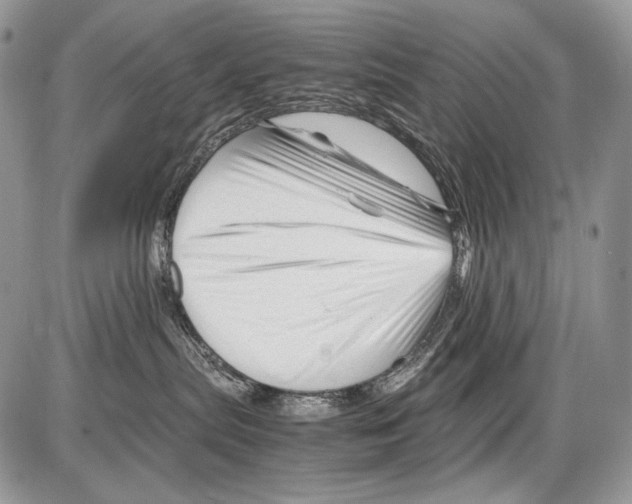 X0000086080287200704202159