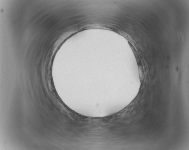 X0000086080289200704202158