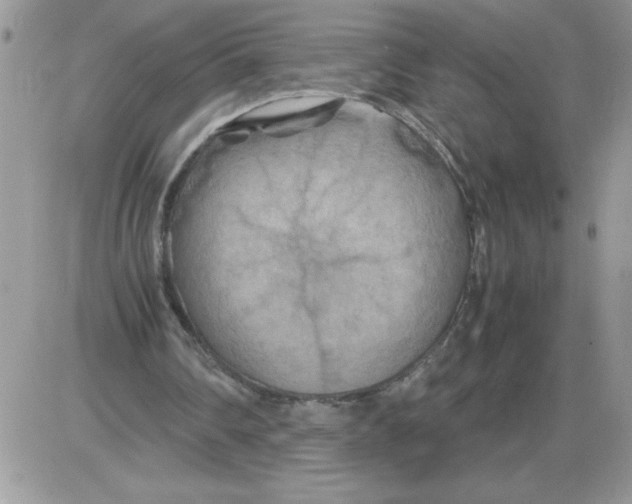 X0000086080290200704202158