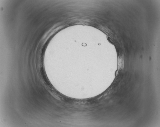 X0000086080291200704202158