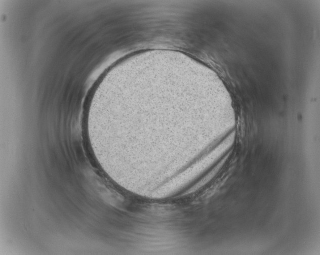 X0000086080292200704202158