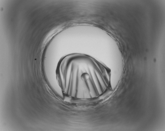 X0000086080293200704202158