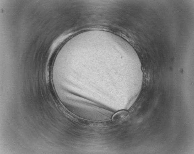 X0000086080294200704202158