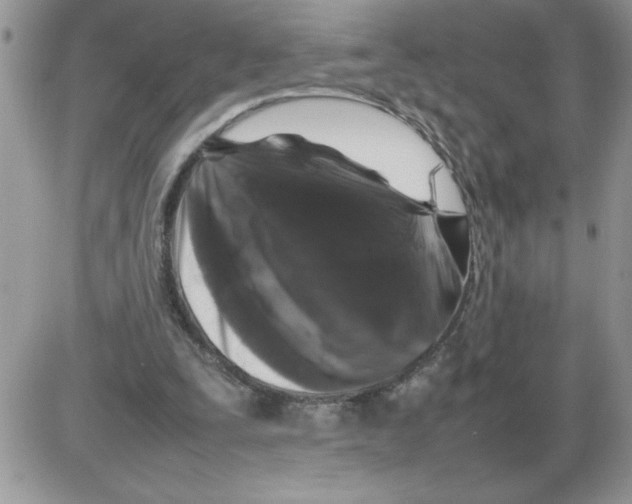 X0000086080295200704202158