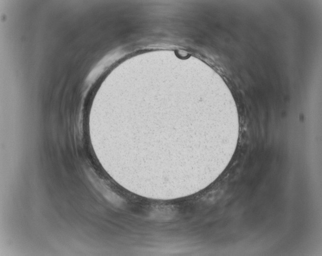 X0000086080296200704202158